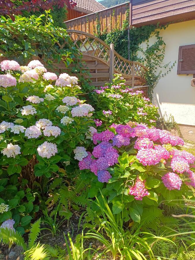Haus Flora - Ferienwohnung Bodensdorf Exterior photo